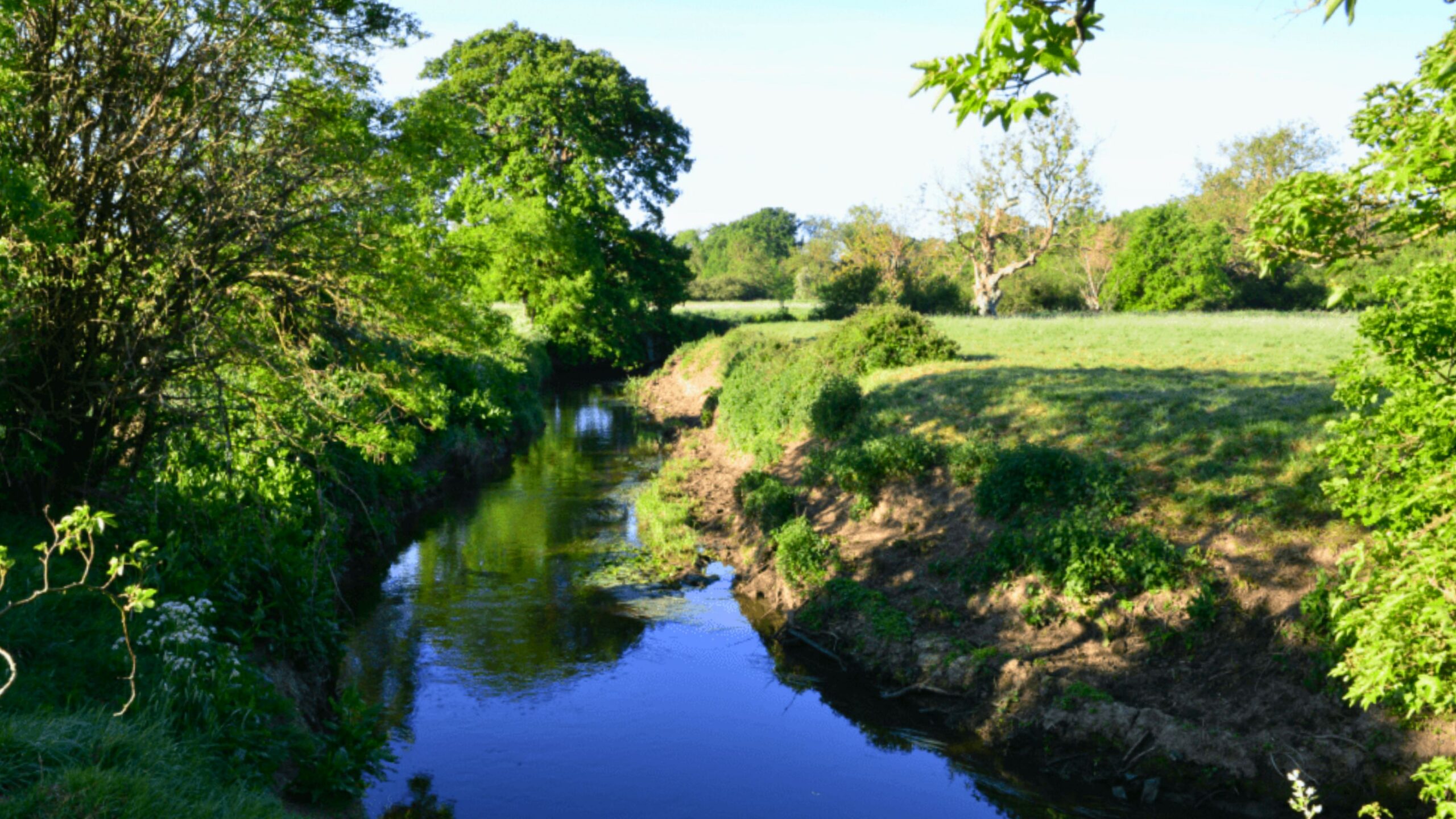 The River Mole flowing through green fields surrounded by trees.