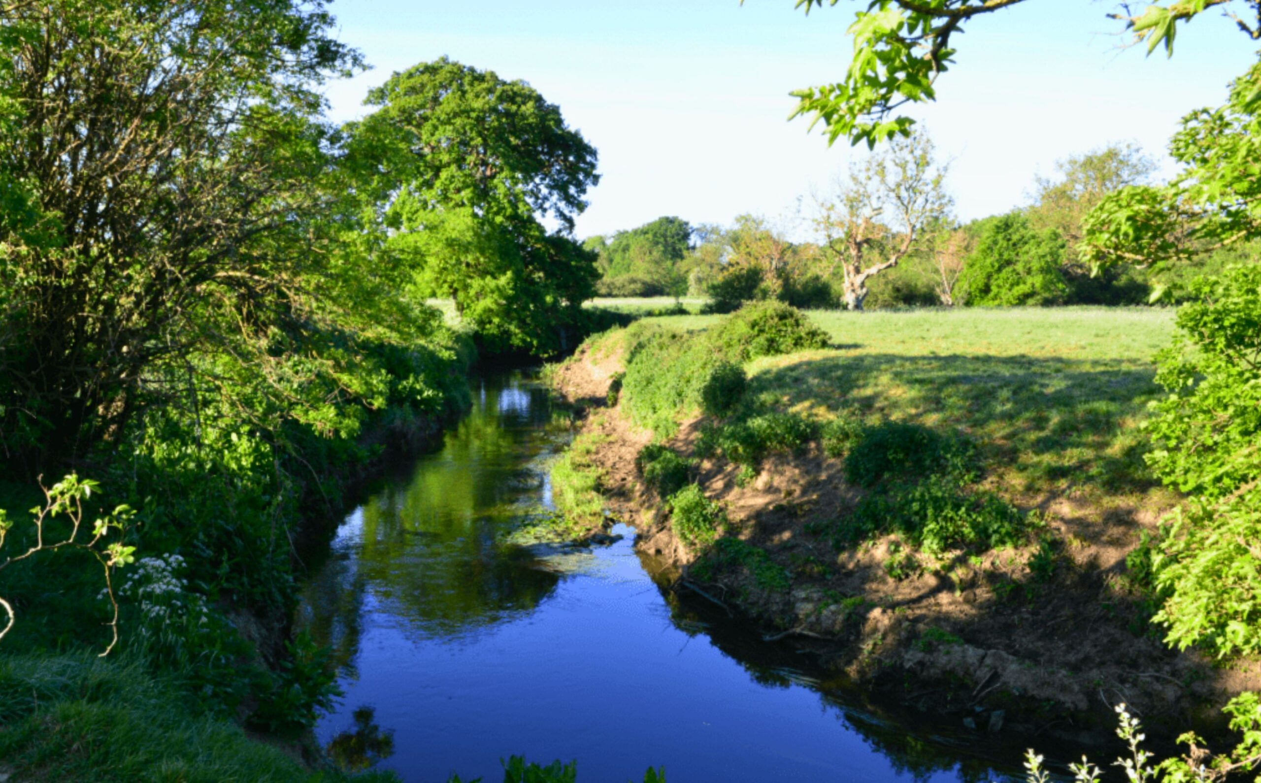 The River Mole flowing through green fields surrounded by trees.