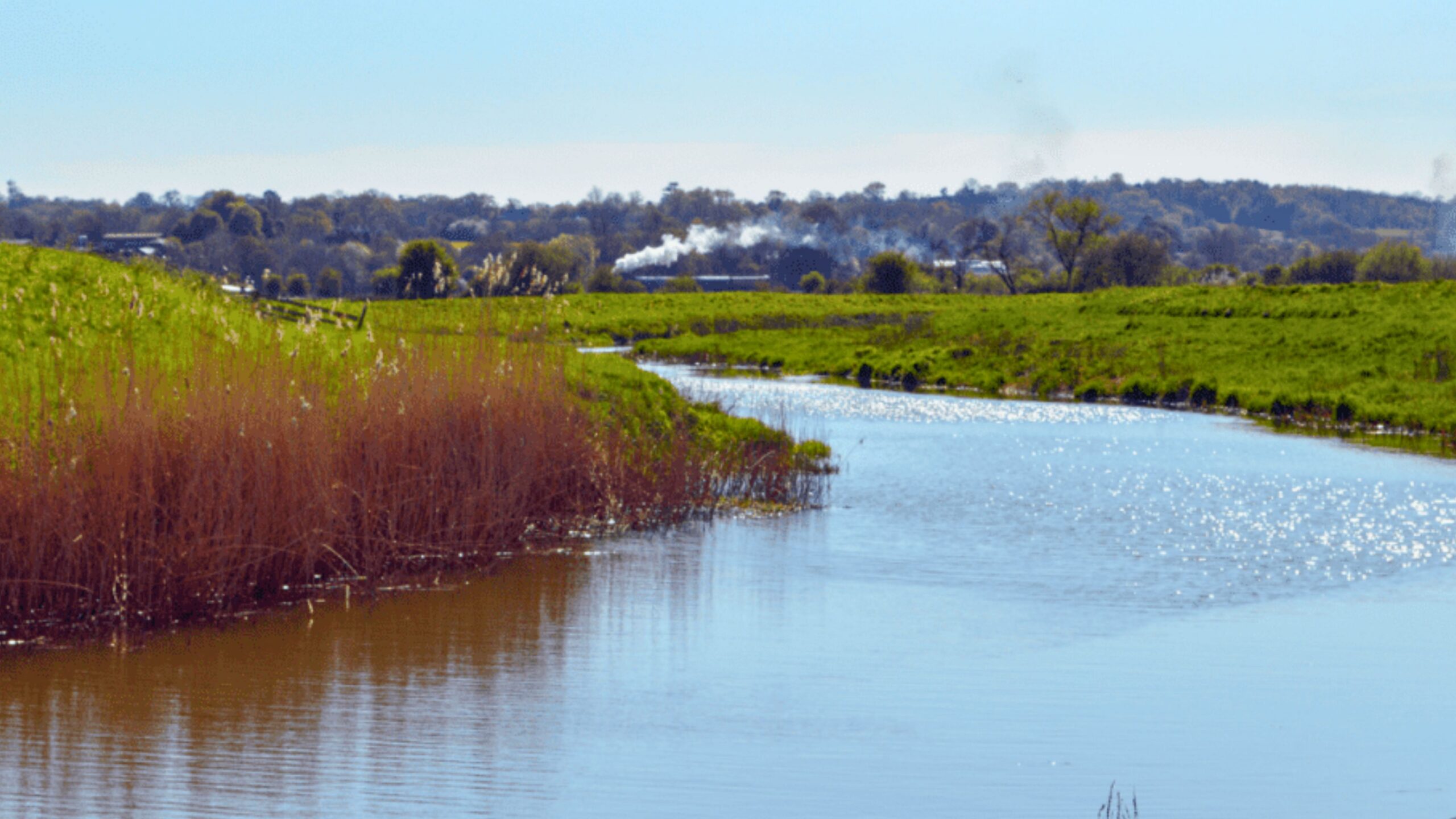 A view of the River Rother flowing through fields with trees and a steam train in the distance.