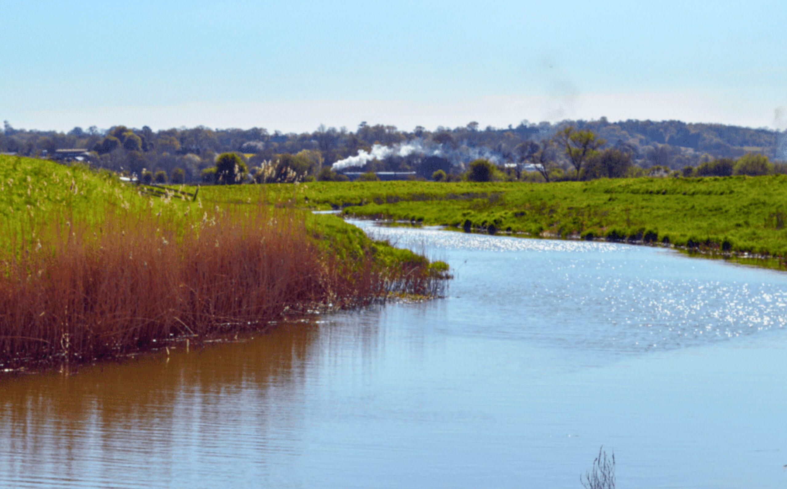 A view of the River Rother flowing through fields with trees and a steam train in the distance.