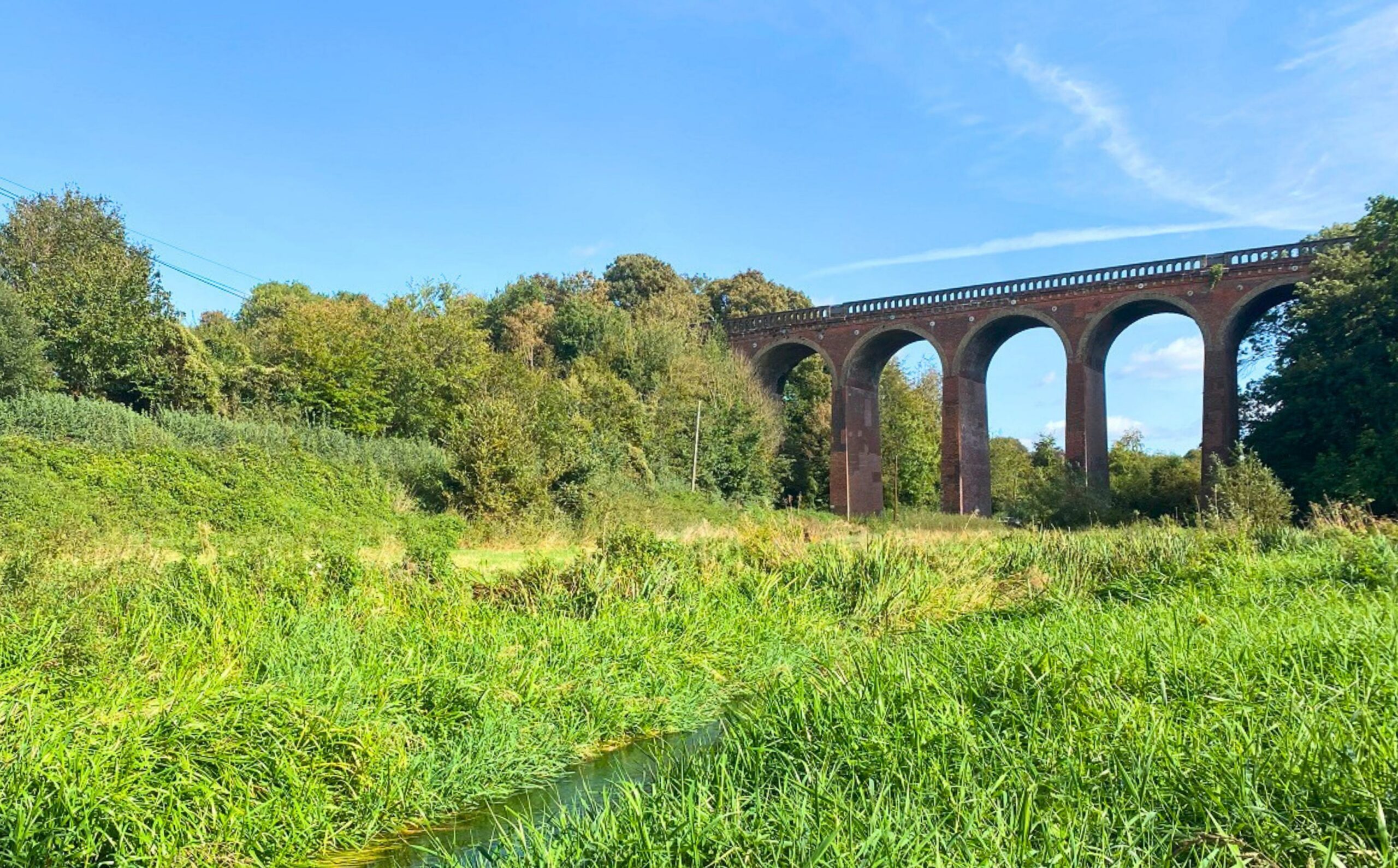 A brick viaduct over a stream surrounded with fields and green vegetation.