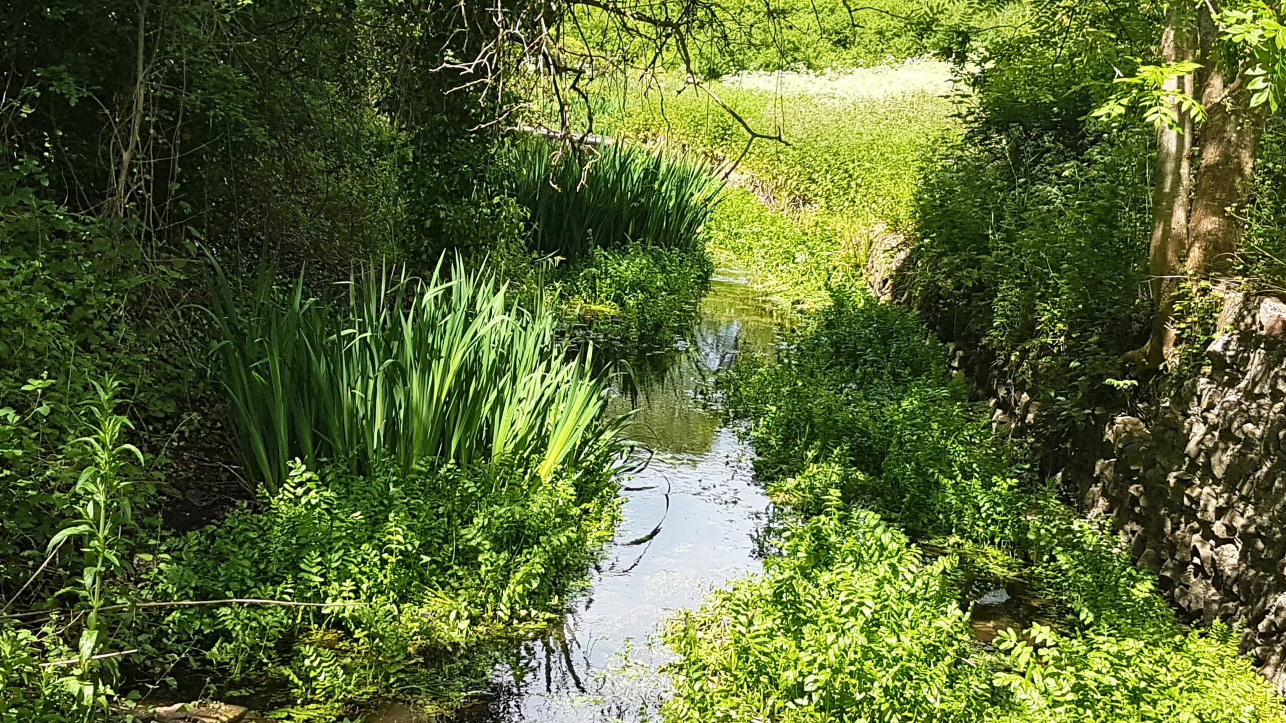 A river flowing through a green valley with a stone wall on one side.