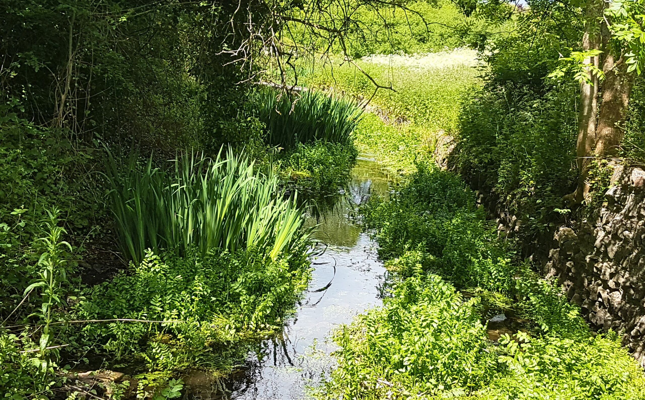A river flowing through a green valley with a stone wall on one side.