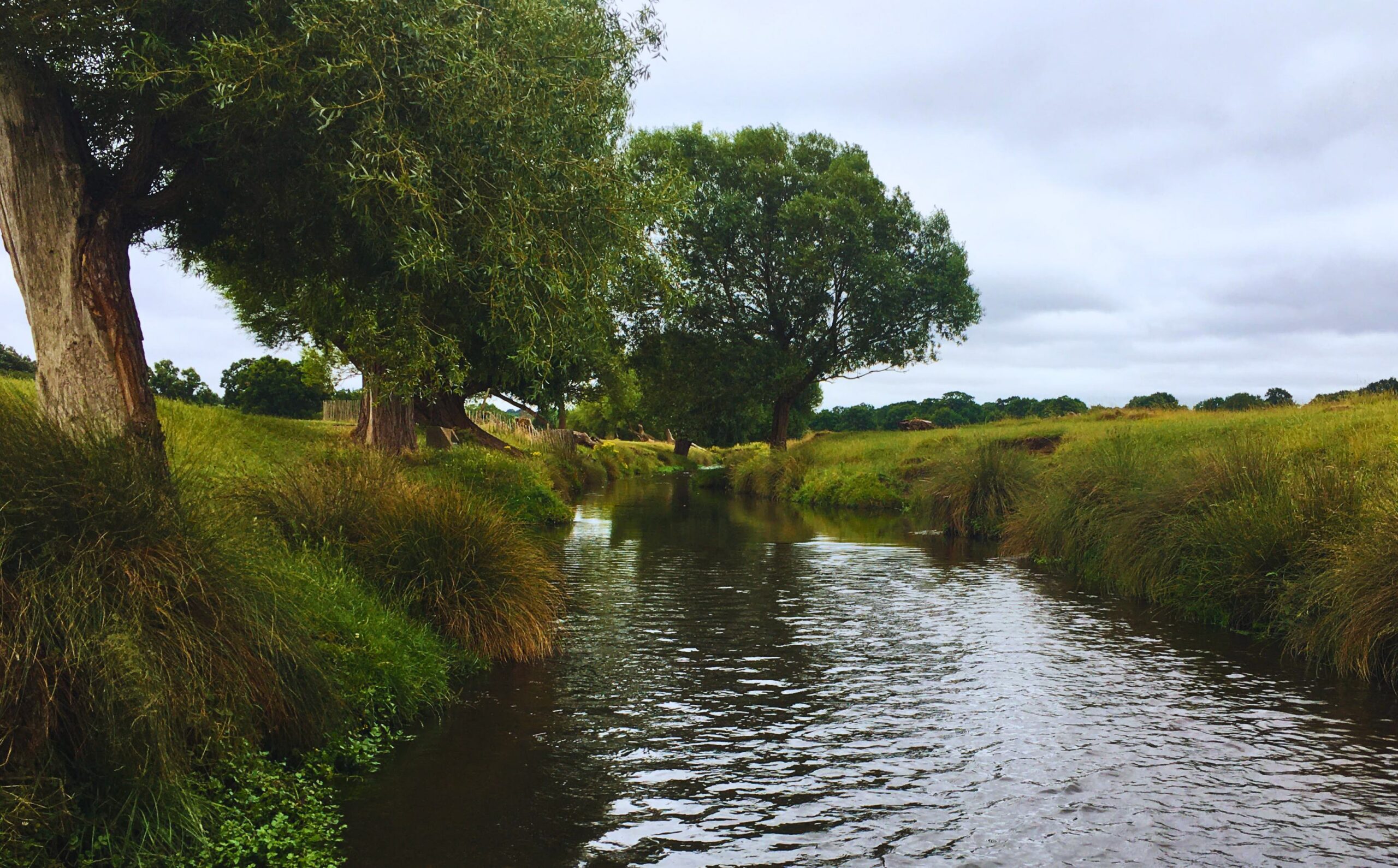 A stream flowing through a green landscape with trees on the bank.
