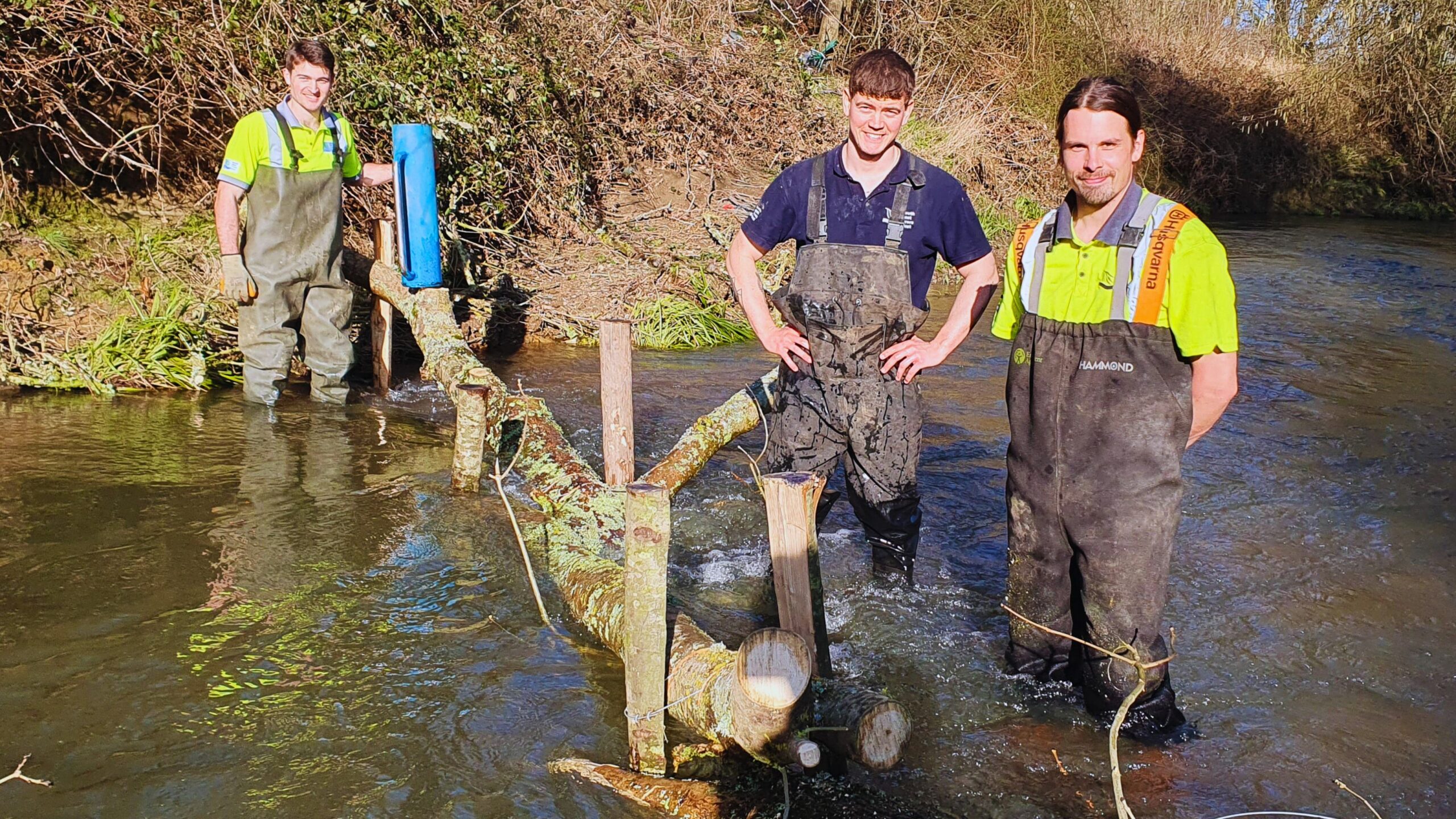 Three people in waders standing in a river with a tree trunk in front of them which is pinned into the ground with wooden posts.