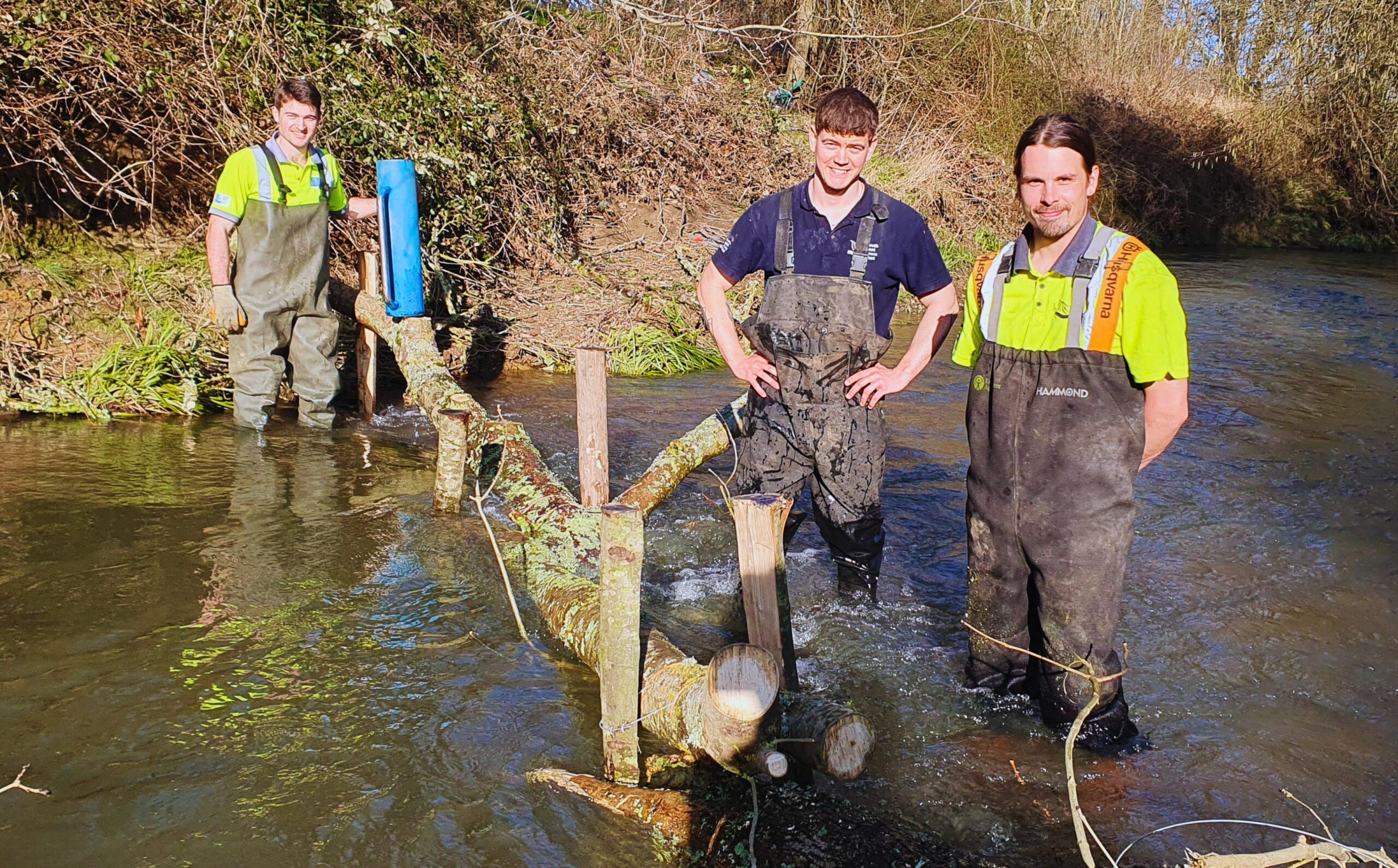 Three people in waders standing in a river with a tree trunk in front of them which is pinned into the ground with wooden posts.