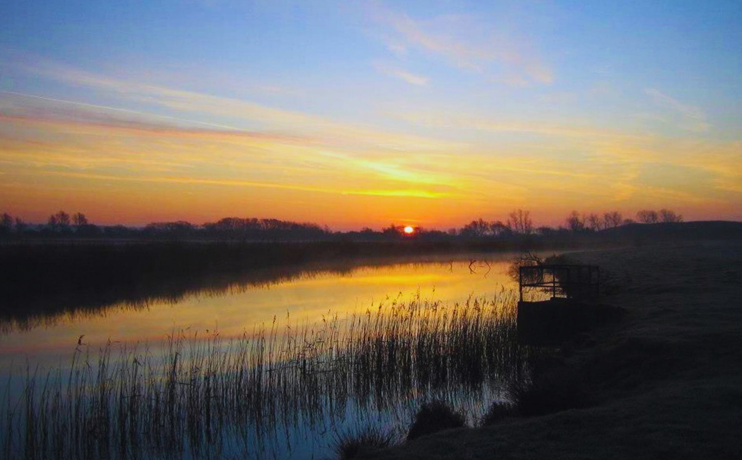 A sun setting over a river with reeds in the foreground.