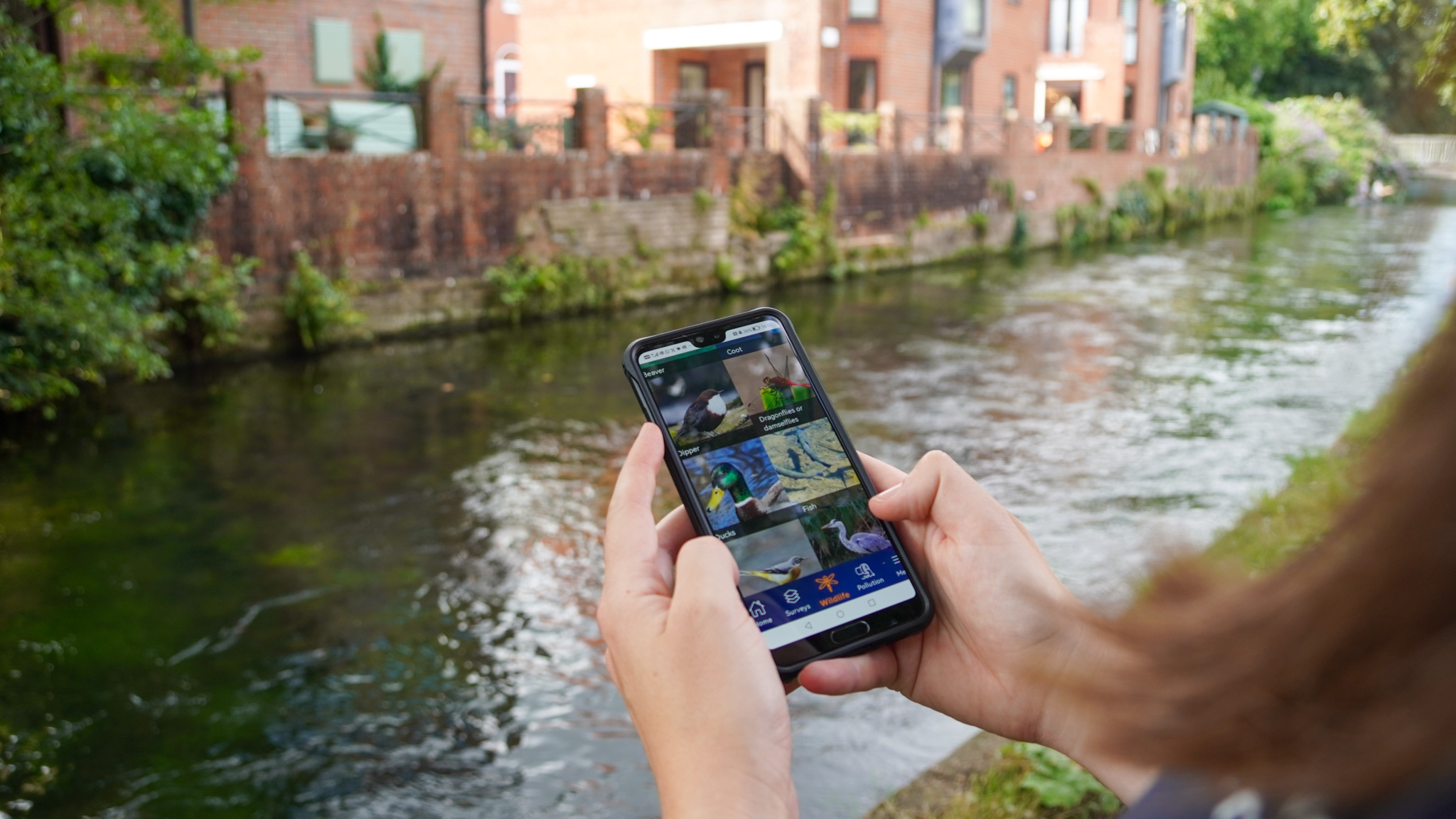 A person holding a mobile phone in front of a river with the Big River Watch app on the screen.