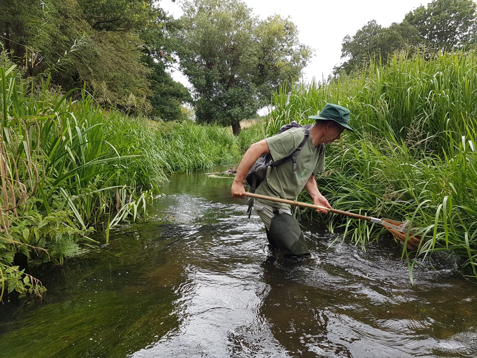 A man wearing waders and a hat standing in a river holding a net which is being used to survey invertebrates.