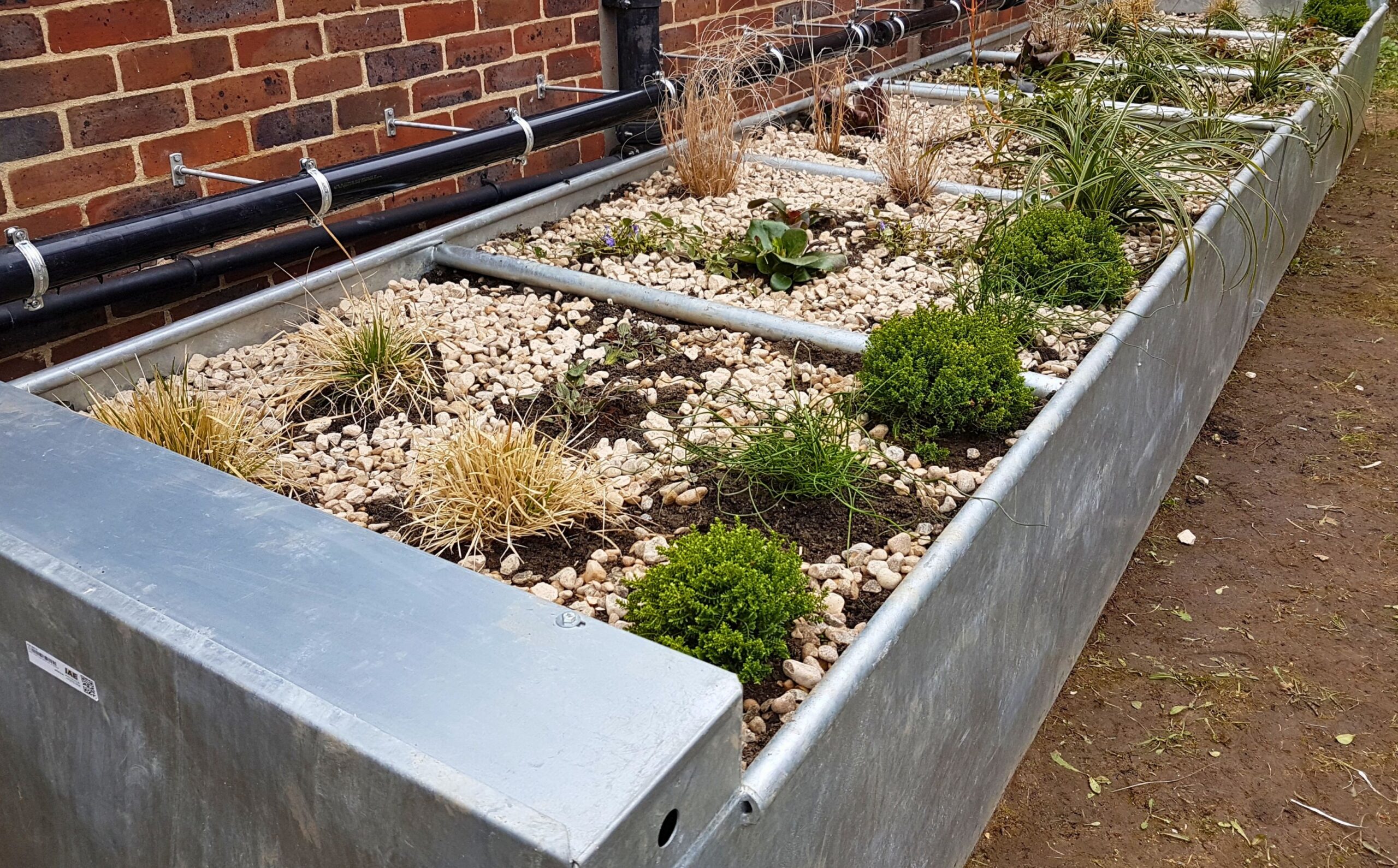 A metal container with plants and pebbles.