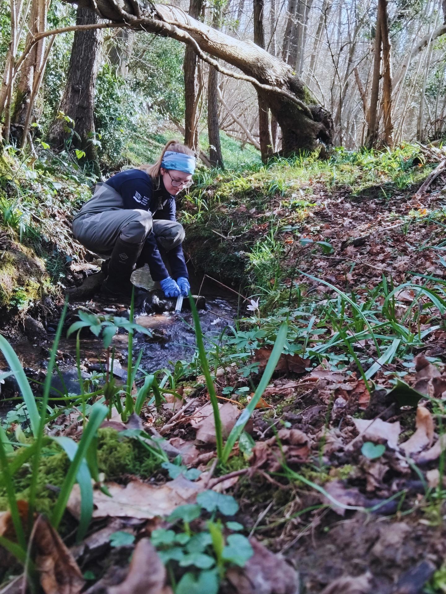 A South East Rivers Trust member of staff testing the water in a stream surrounded by woodland.