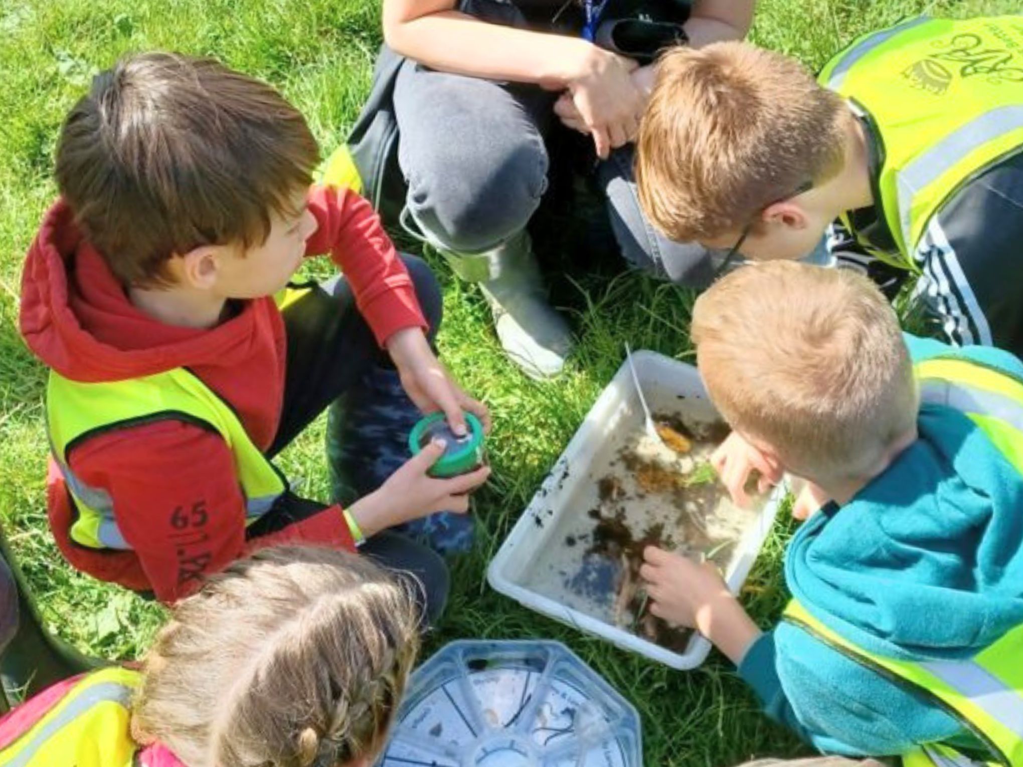 A group of small children wearing yellow high vis vests crouching down to examine water and leaves in a white tray.