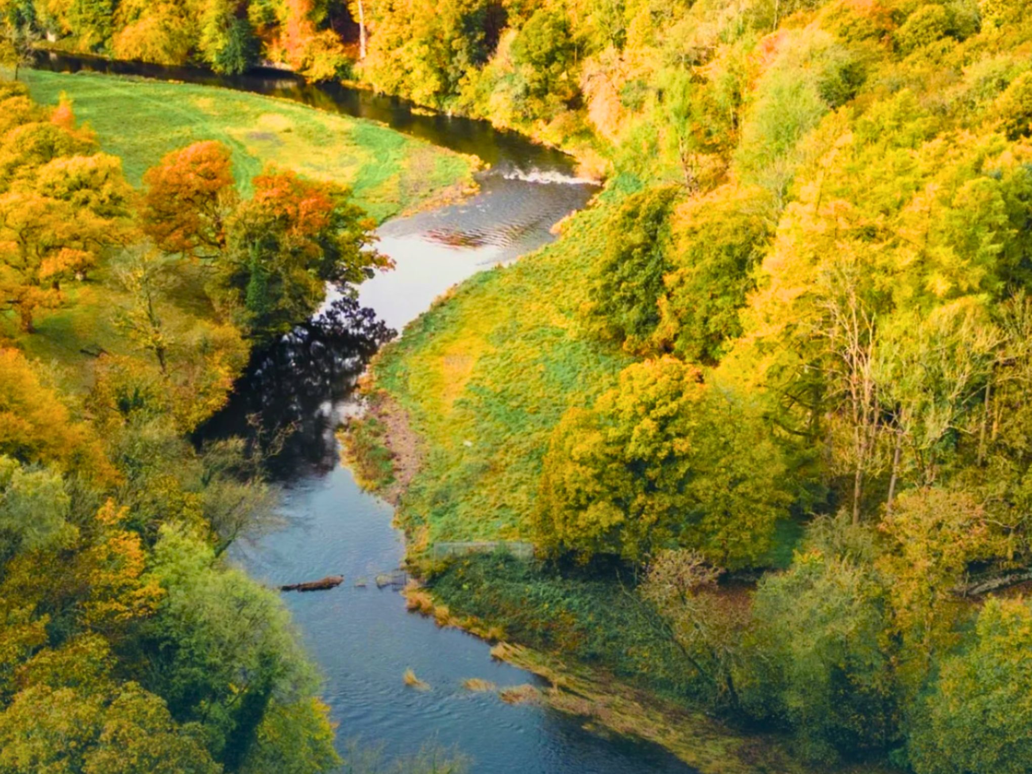 Birds eye view of a river running through green and yellow trees.