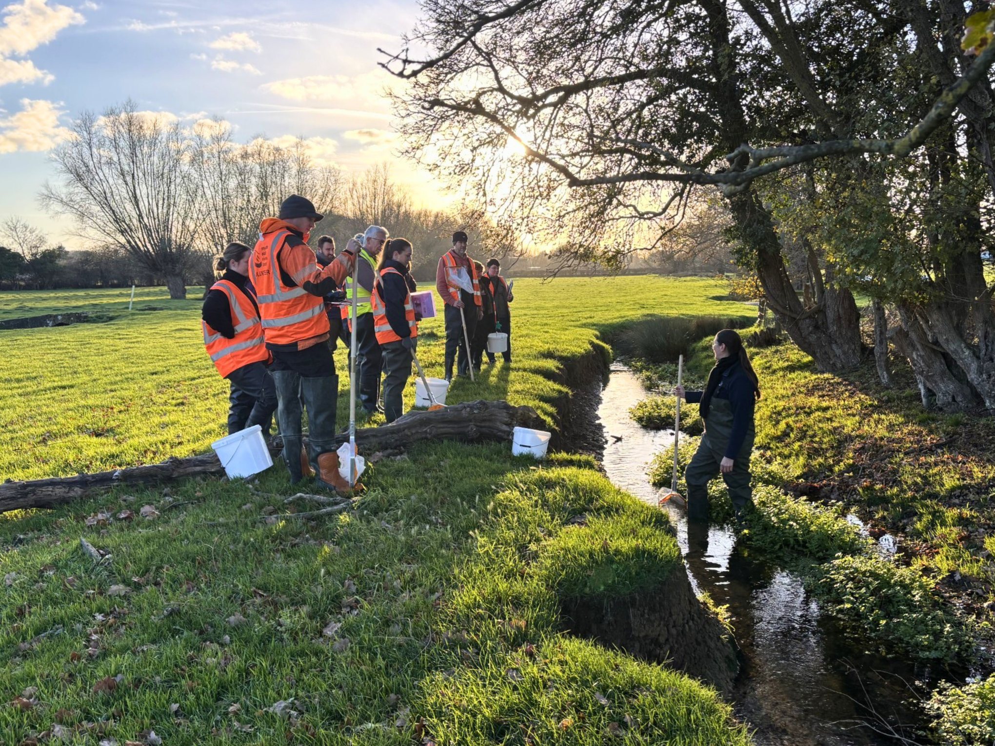 A group of people wearing orange high vis vests standing on a river bank and looking onto a stream where an instructor holding a net is standing.