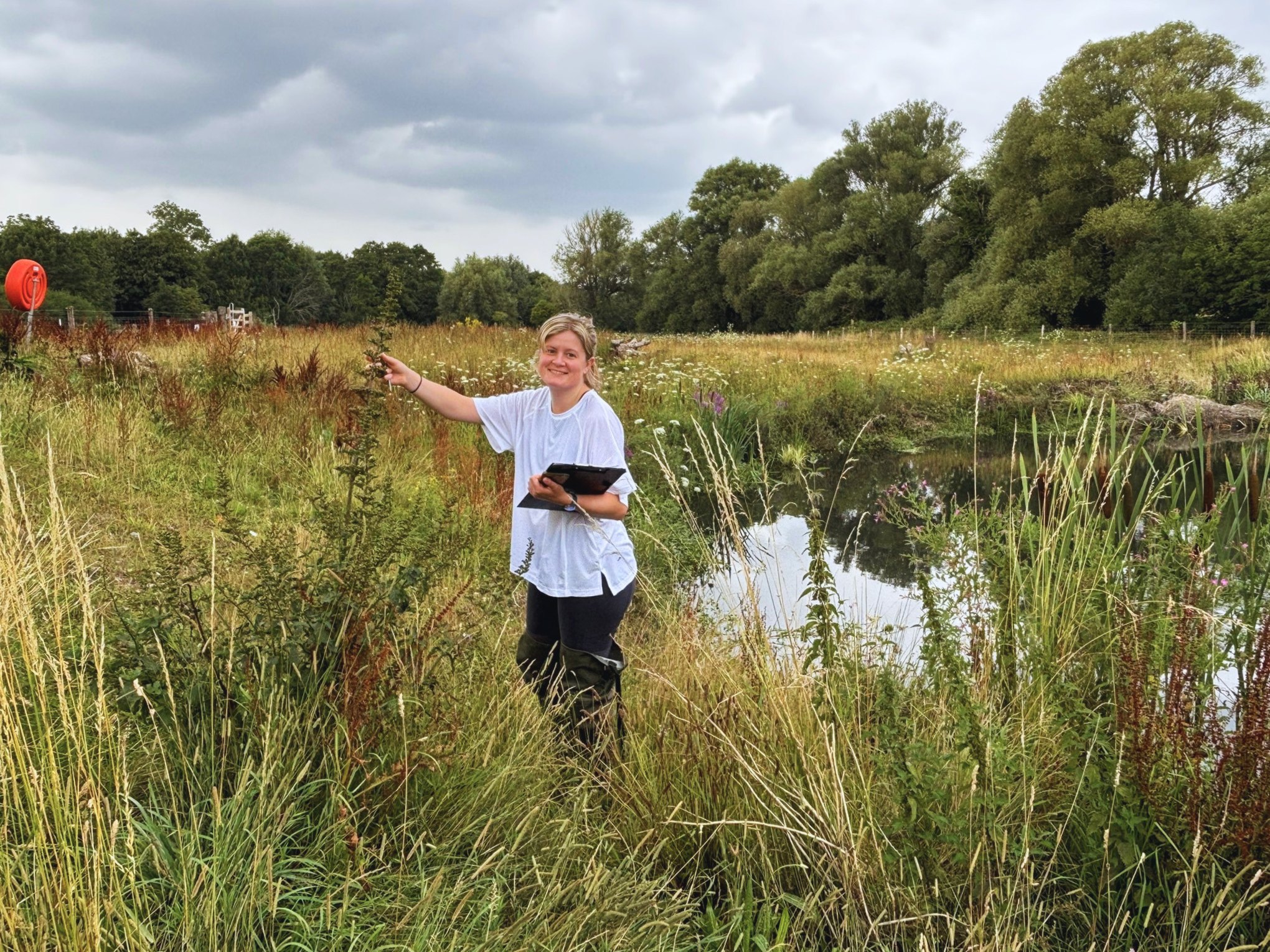 A woman wearing a white t-shirt, standing amongst vegetation whilst holding a clipboard and examining a plant.