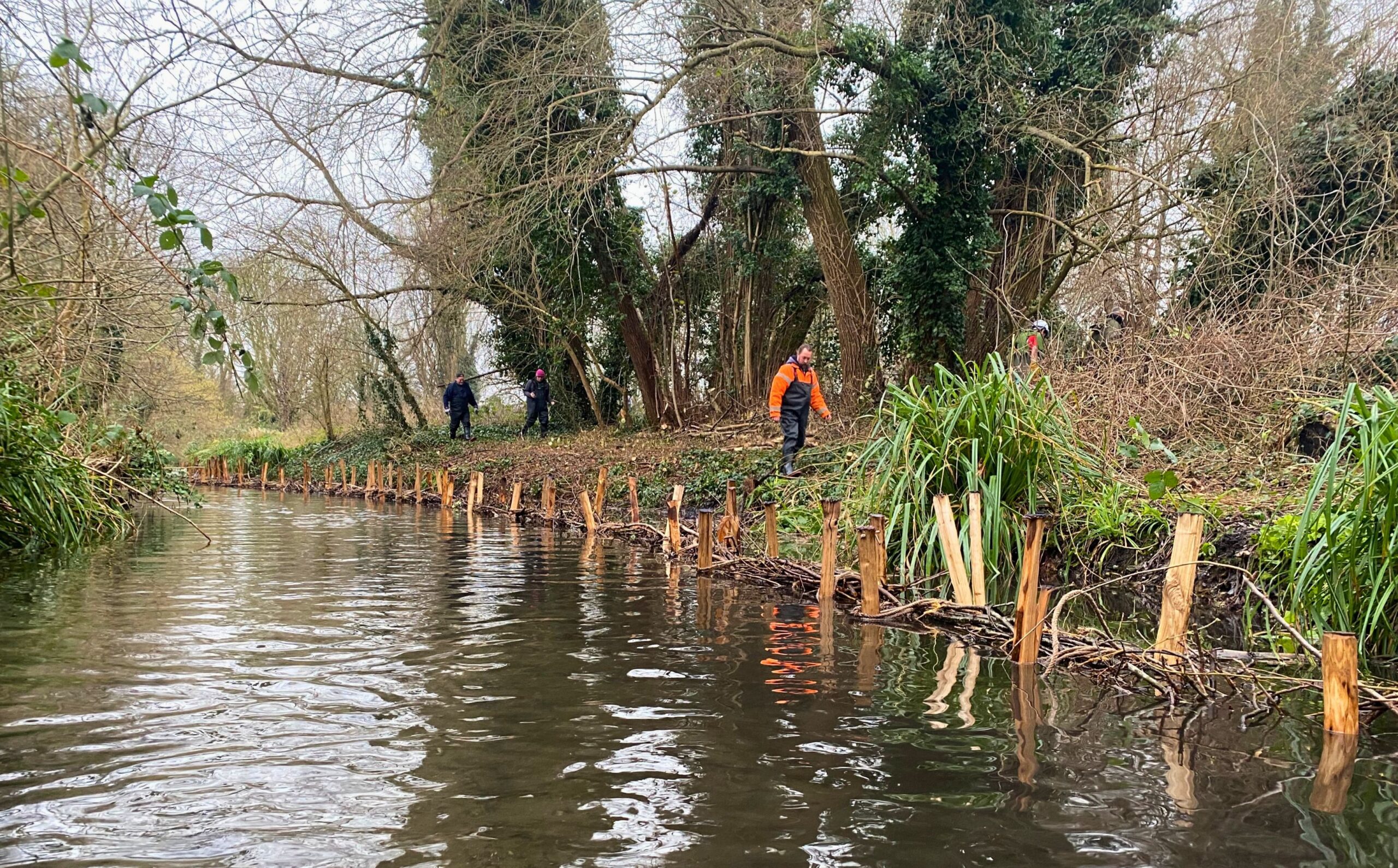 A view of a river and riverbank with wooden posts and branches along one side.