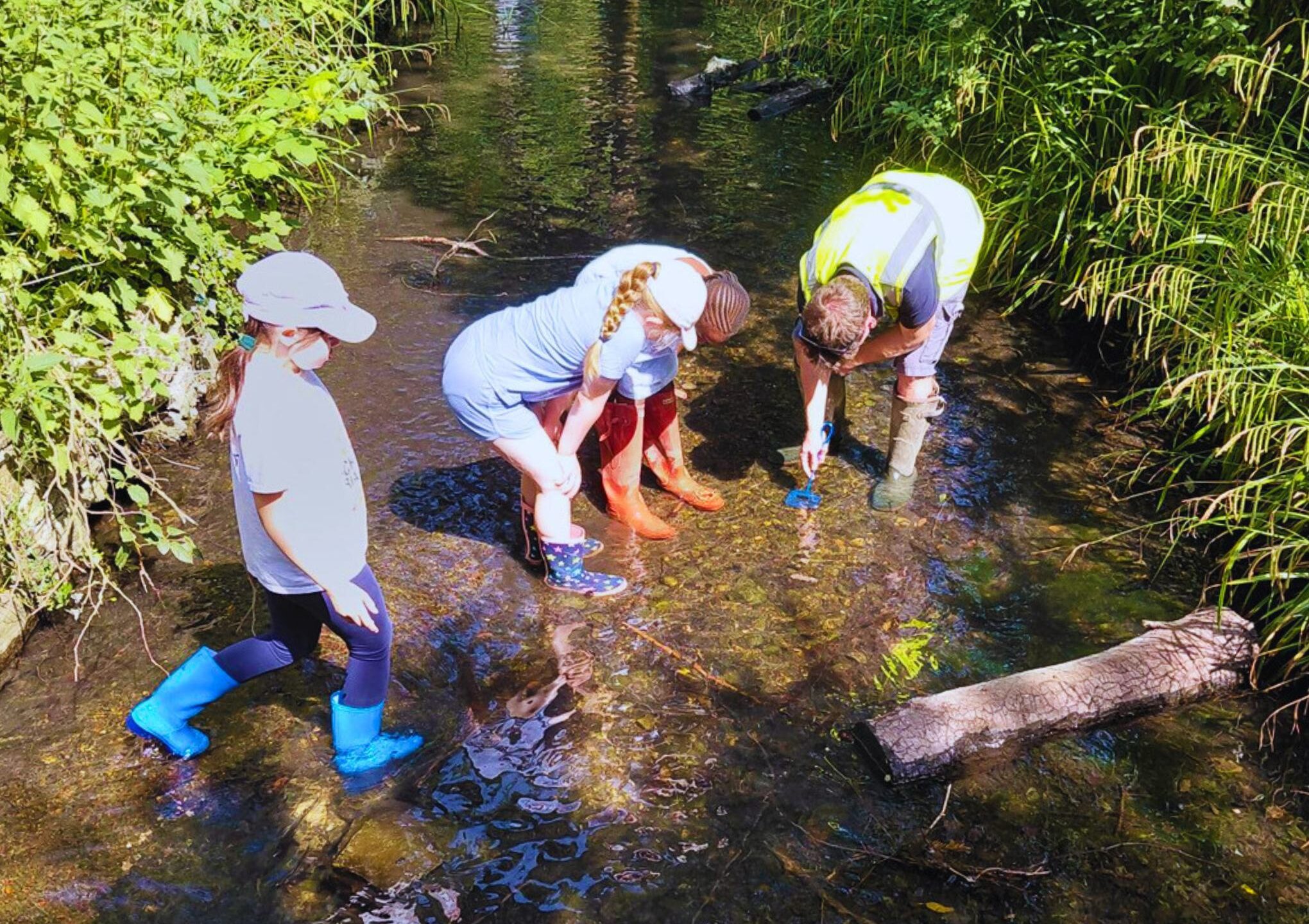 Children and an adult standing in a river, looking beneath the surface.