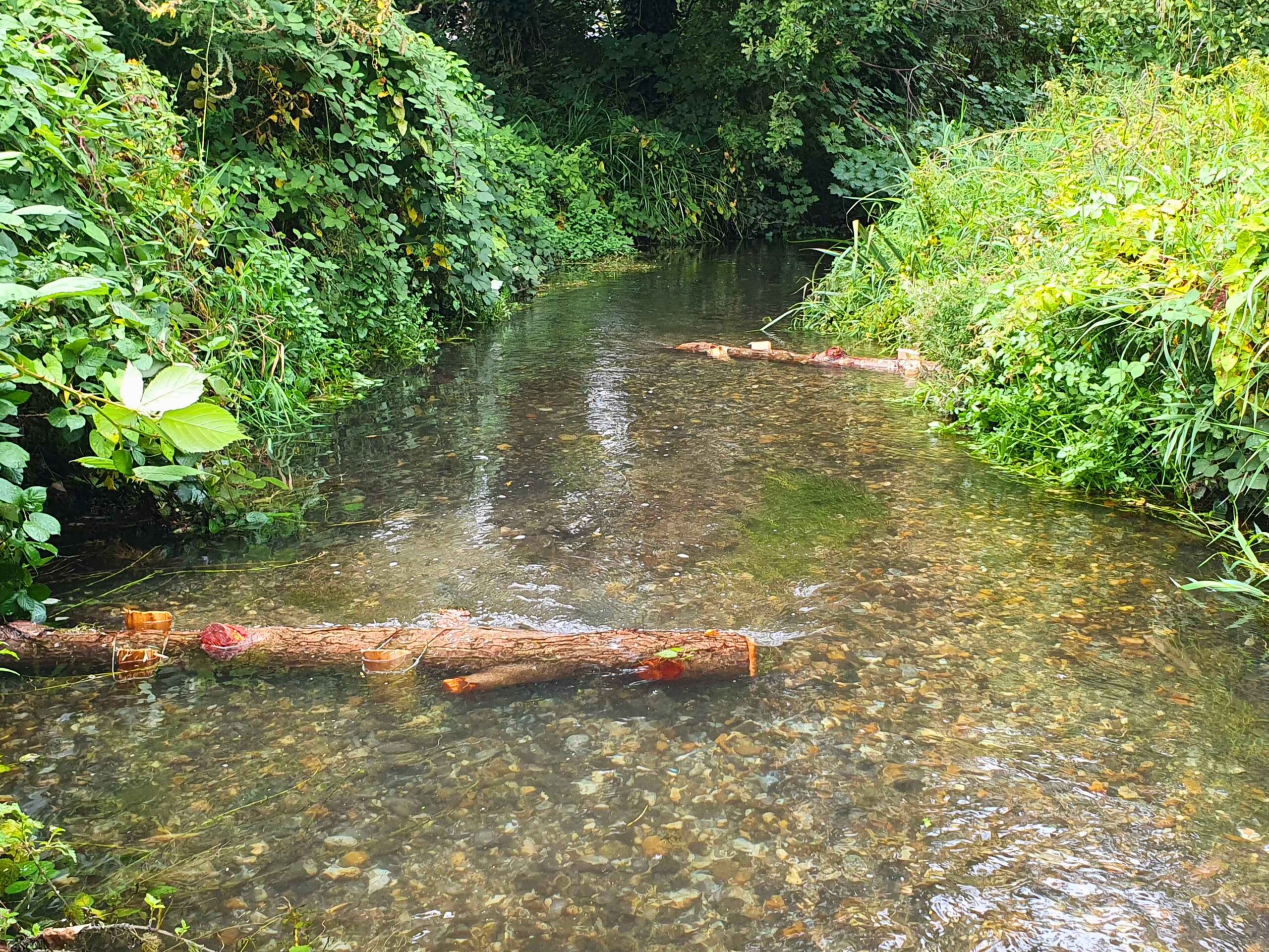Two tree logs placed in river channel.