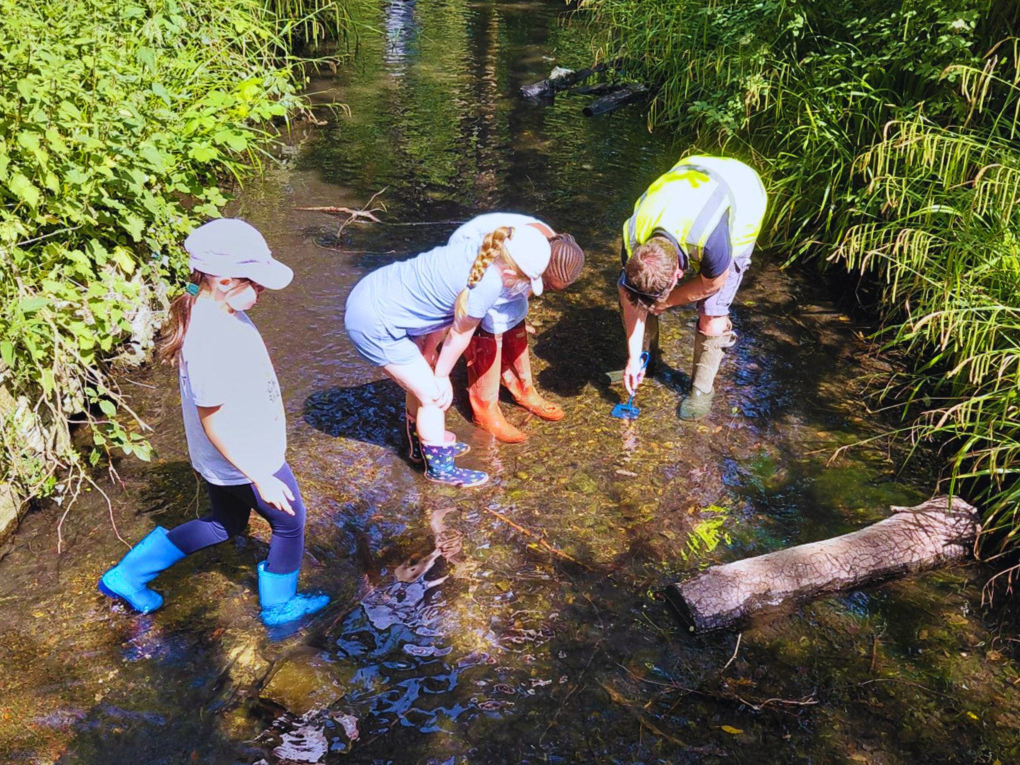 Children and an adult standing in a river, looking beneath the surface.