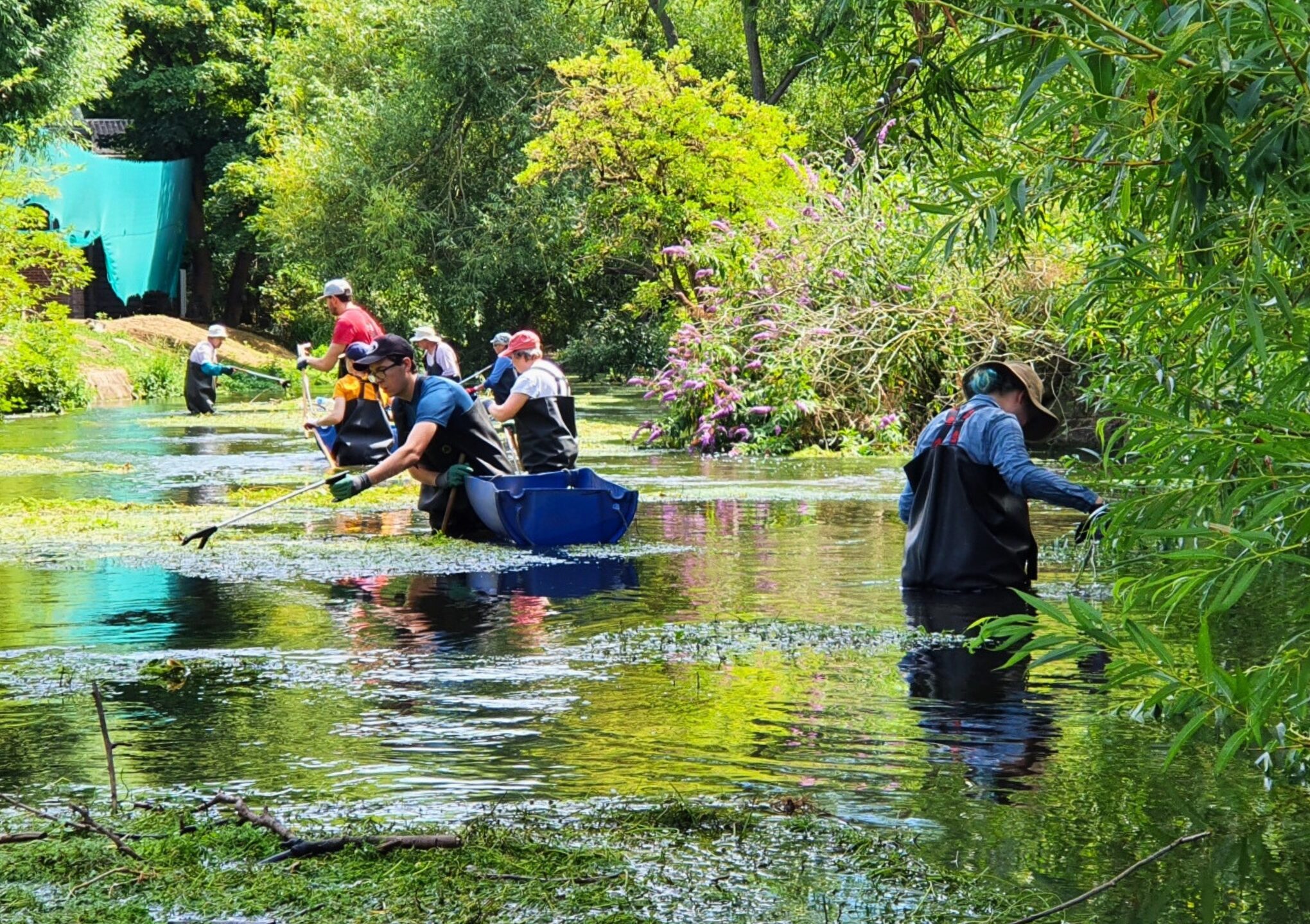 Volunteers standing in a river wearing waders, using litter picking tools during a river clean-up event.