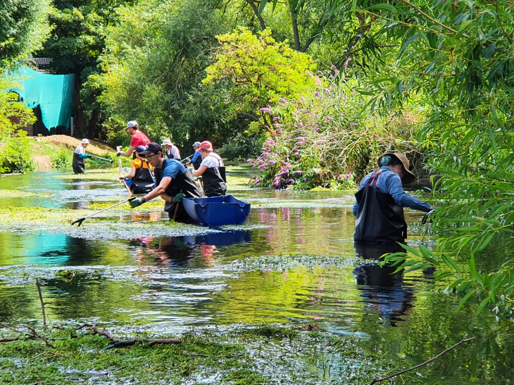 Volunteers standing in a river wearing waders, using litter picking tools during a river clean-up event.