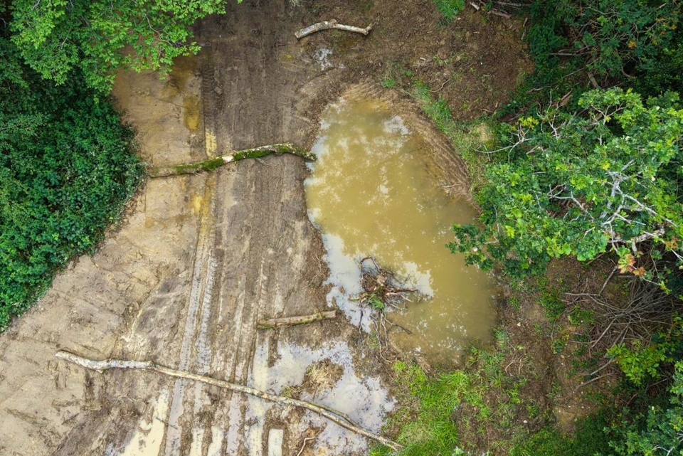 An aerial view of a woodland with a large body of water and logs placed across the ground.