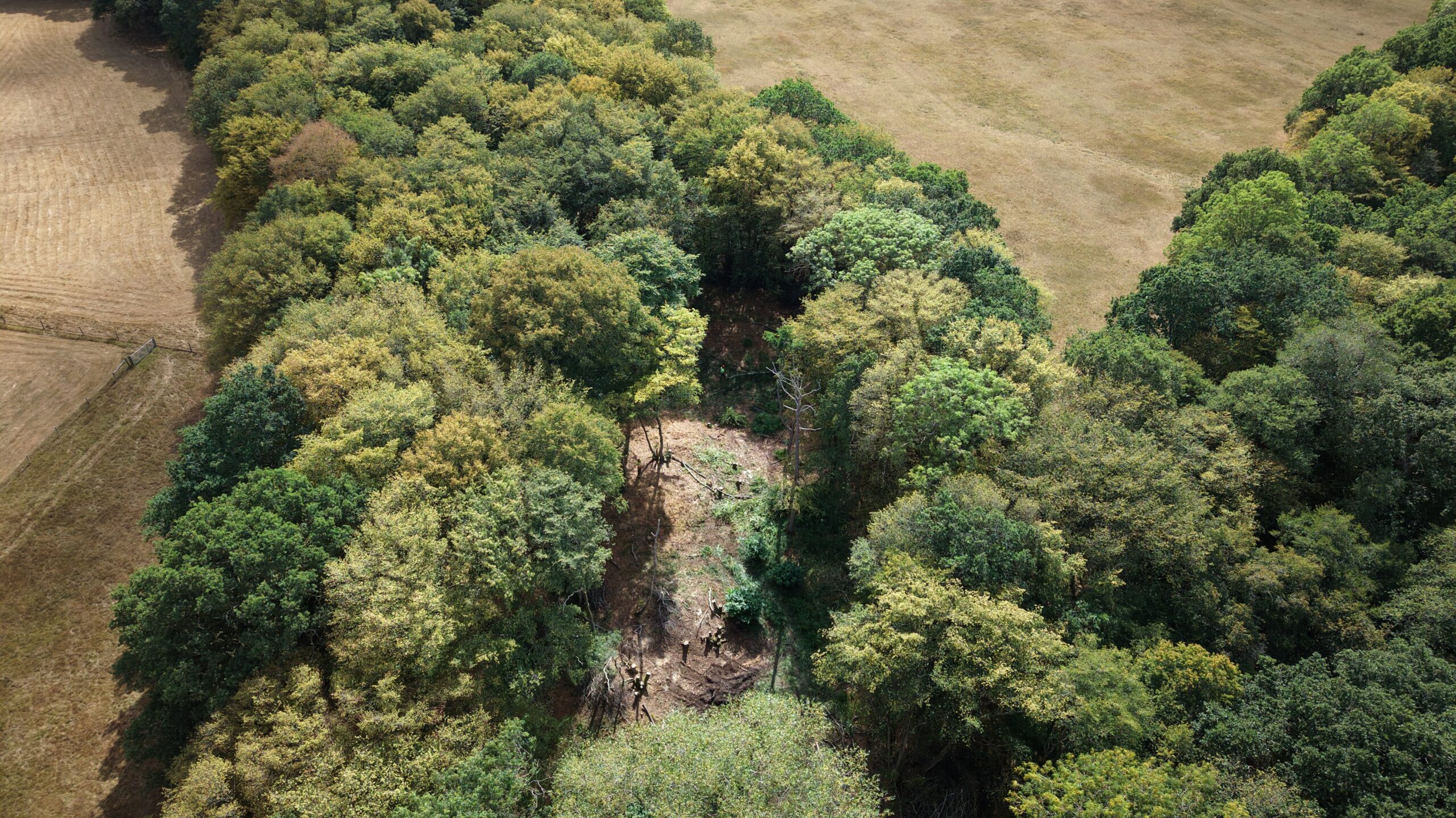 Aerial view of Fay Cottage Farm