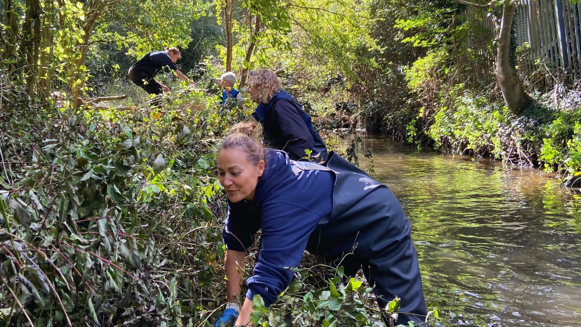 A group of people standing in a river clearing vegetation from the riverbank.