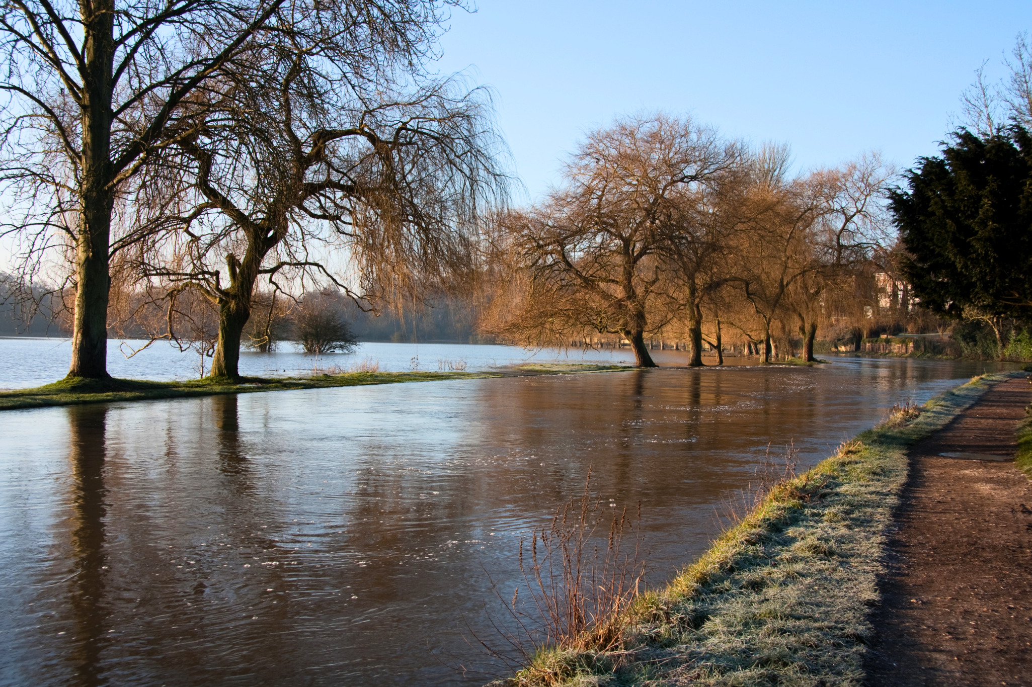 A flooded footpath lined with trees during winter.